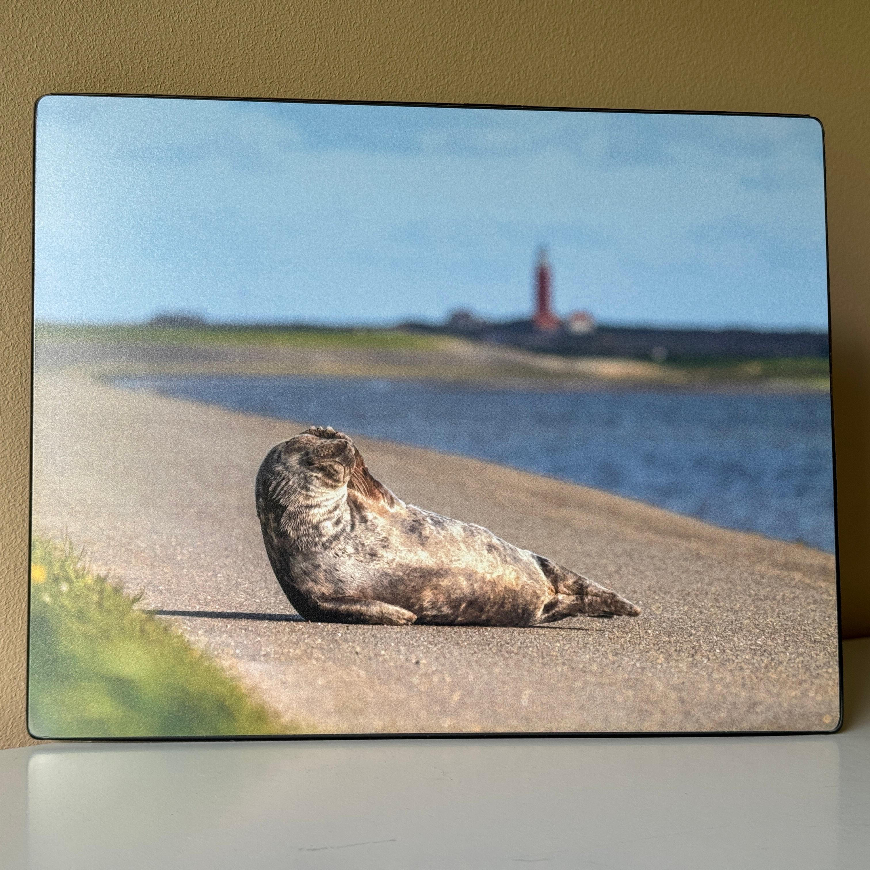 Muismat - Zeehond bij vuurtoren