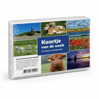 Kaartje van de Week – 26 unieke Texelse fotokaarten