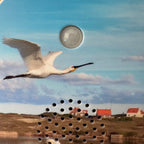 Soundbox vogelgeluiden van Texel