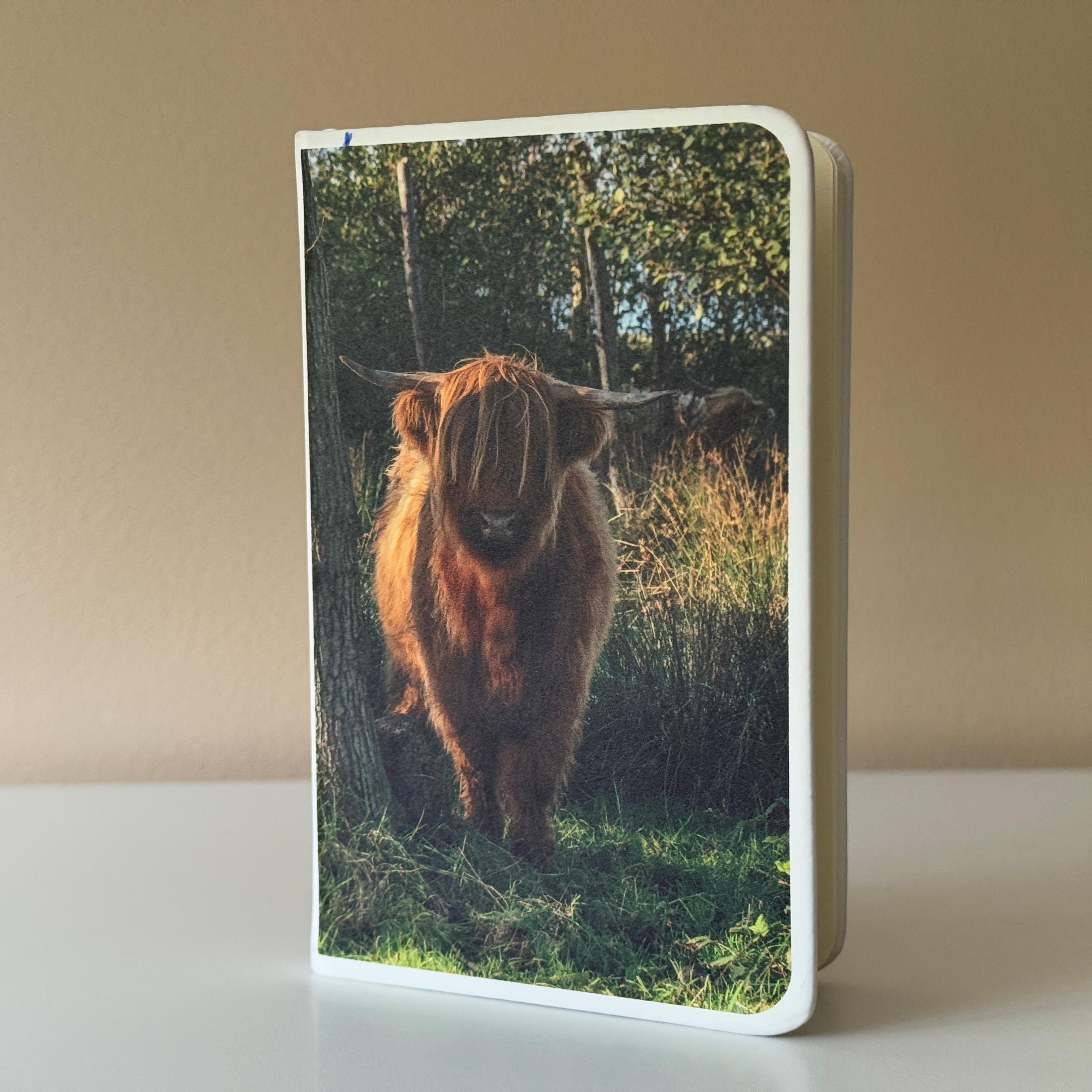 Notitieboekje A6 – Schotse Hooglander