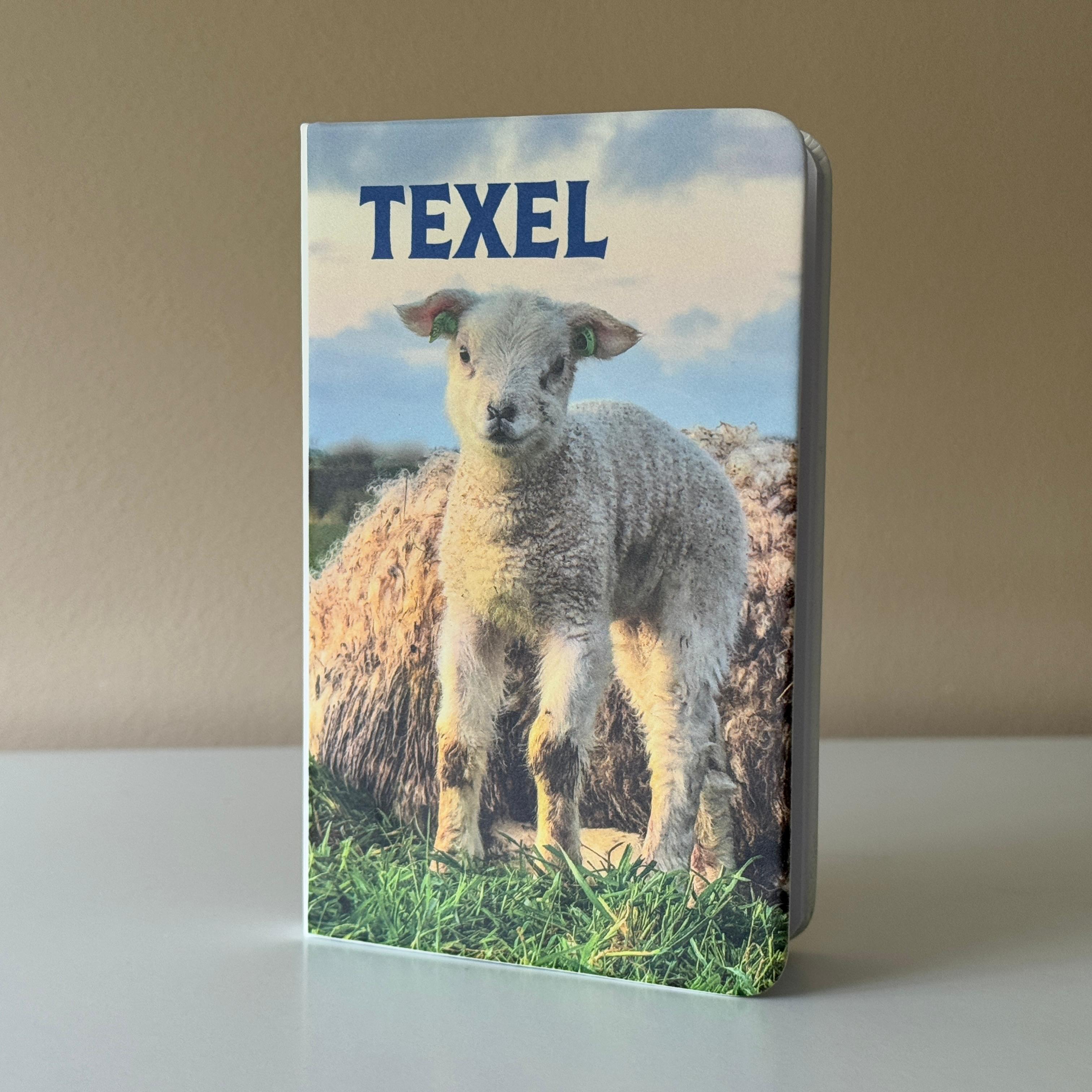 Notitieboekje A6 – Texel met schattig lammetje